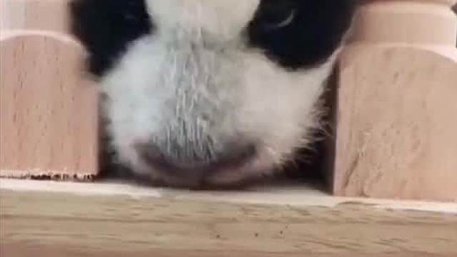 什么都可以没有，但是…就是不能没有我____