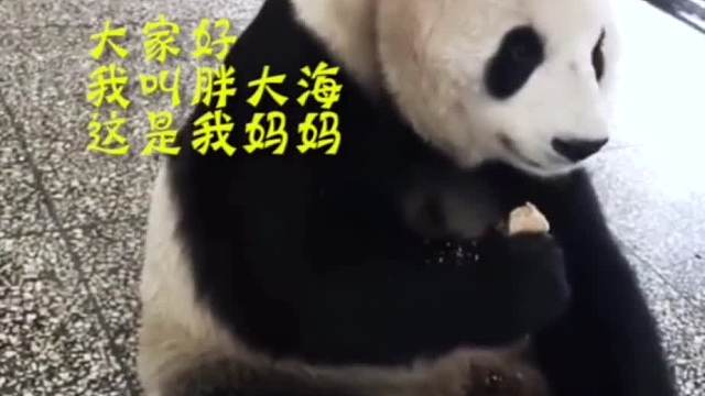 今天妈妈又抢了我的饼干__它是我的亲妈吗__