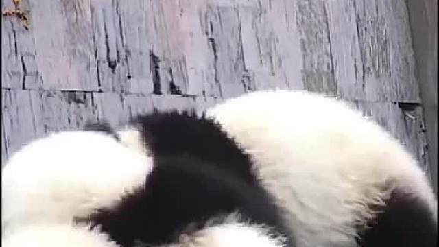 你们下去！ 别抢！！