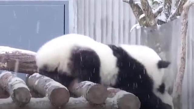 你想得到我妈妈，做梦！！