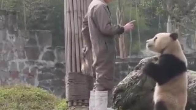 你晓不晓得，吃饭说话不利于消化！