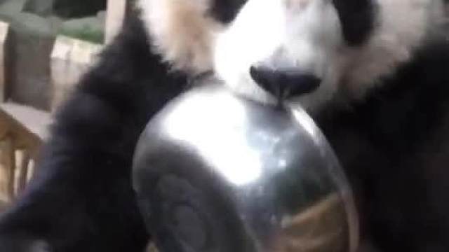 你逃不出我的手掌心！