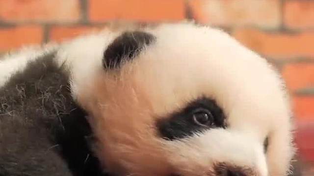 冬天要早睡晚起，这样才能越睡越乖哦~