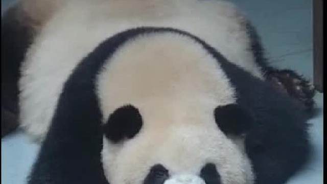 准备好了吗！今天给大家躺下跳个舞。