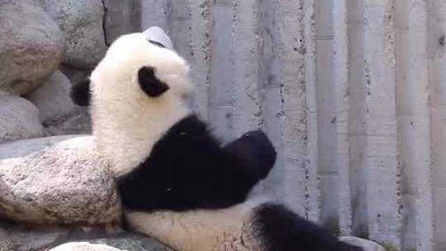 减肥，十年功！吃胖，三分钟！