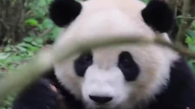 别废话，赶快让我吃！