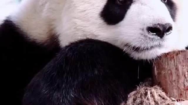 别忘了保护好你自己噢！你的小可爱在等你回家