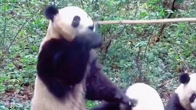 友谊的小船，说翻就翻～______