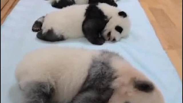 呀！我怎么掉色了！__