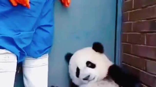 呜呜呜呜～你不是我的奶妈哟！你的小可爱要离开你了！！______________