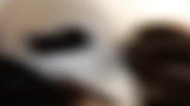 周末咯，来一波美照～