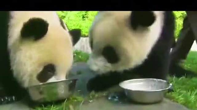 哪怕一生很简单，也要好好爱自己__