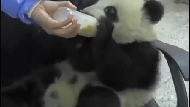 哼！你不抱我，我就不喝。__