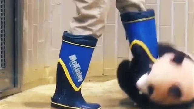 哼！只牵五分钟？对我来说，五个小时都不够吧！