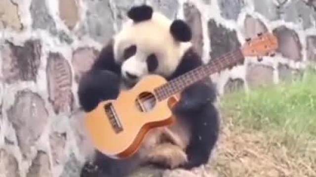 哼，长的胖，日子旺～