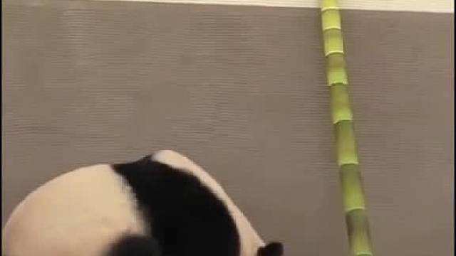 啊。刚刚发生了什么！！__