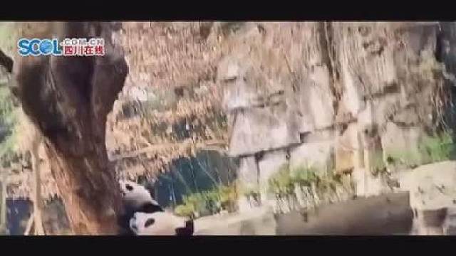 在生死关头面前！我竟放下了作为吃货的尊严！！！