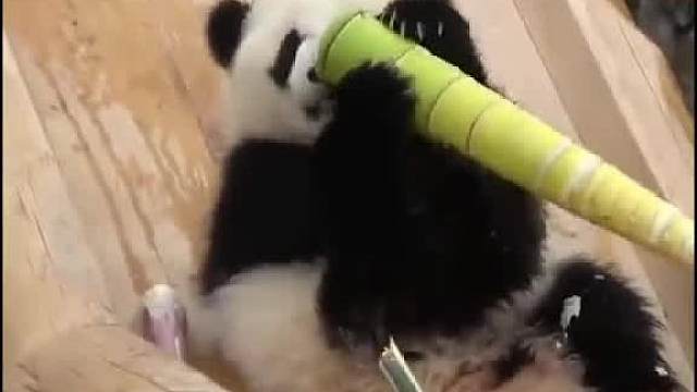 在美食面前，我！无法自拔！ 却