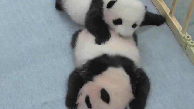 天气好热，给我买杯奶茶吧~