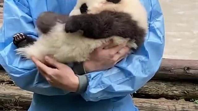 如果爱对了奶爸，父亲节每天都过_