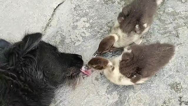 就是那么好奇！