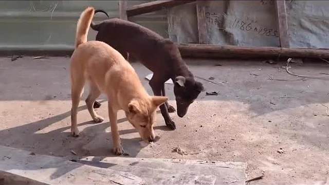 就这？还这一片！