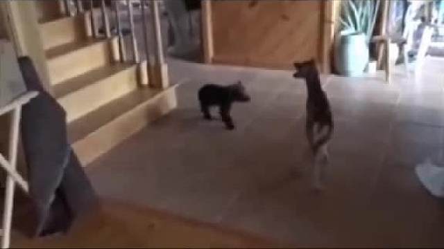 就问你我狠儿不狠儿！