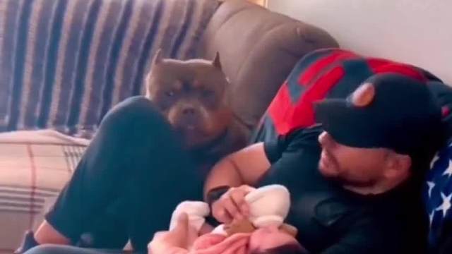 #太热#看一遍笑一遍#专治不开心