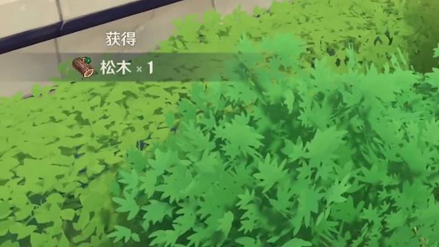 荧：捕获魈宝的秘诀我早就烂熟于心