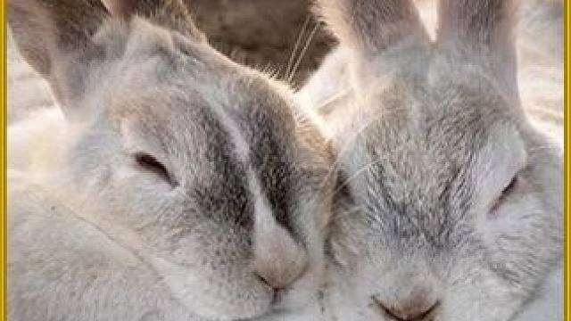 解压下饭，吃饭时千万不要错过..#清洁 #下饭菜 #解压