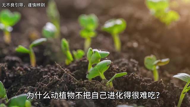 为什么动植物不把自己进化的很难吃？