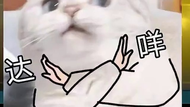 加注心之钢---全新打法分享！【地下魔盗钢】 #云顶之弈 #金铲铲之战 #云顶之弈s10