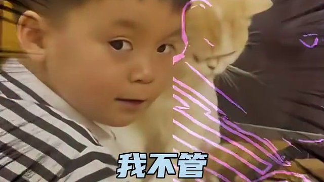 猫：我也不知道啊 简直不要太可爱#猫猫