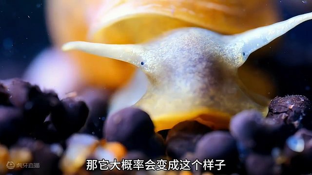 一起看看海底世界~