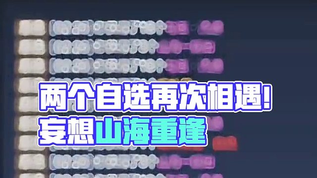 半年之久，两个自选又遇到了一起！#妄想山海 #妄想山海神兽 #新赛季