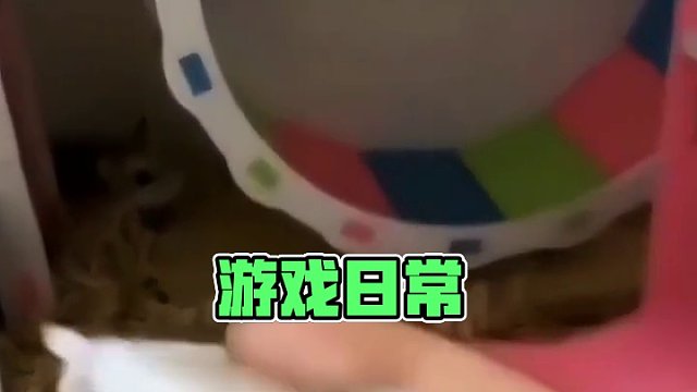 #共创蛋仔时代 #奇奇怪怪的蛋仔玩法 #eggy爱挤 #蛋仔女孩 #游戏日常