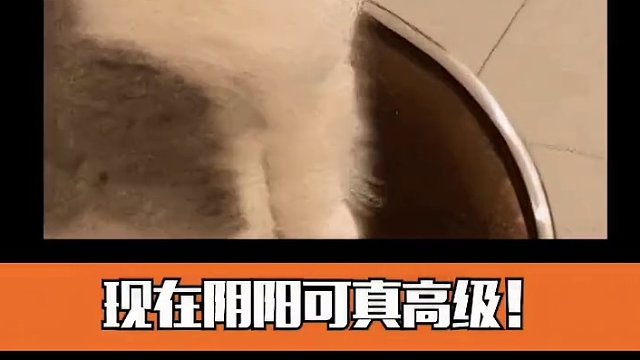 真实的商战：不犯法 但贩剑！#光与夜之恋 #恋与深空 #世界之外 #世界之外0126上线 #国乙