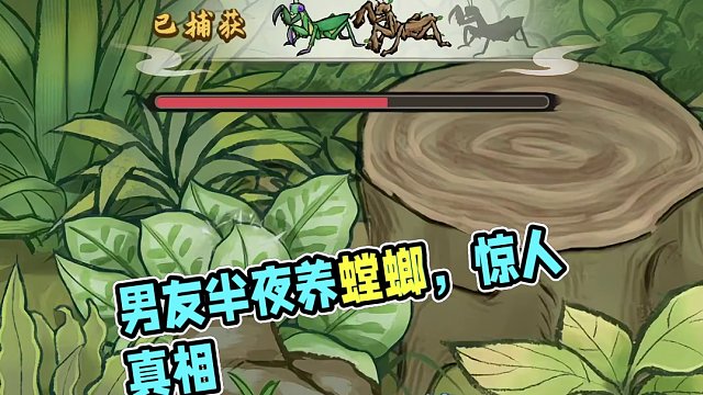男友半夜不睡觉，原来是在被窝里养螳螂！！！