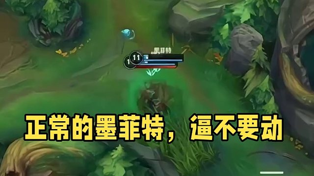 这种的我愿称之为正常的墨菲特