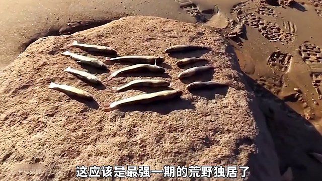荒野独居第九季1~4集 选手多带一样东西居然把头发染成绿色当仿生饵#荒野求生 #野外生存 #纪录片解