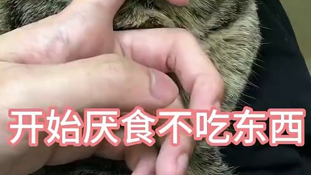 都怪我没有照顾好你