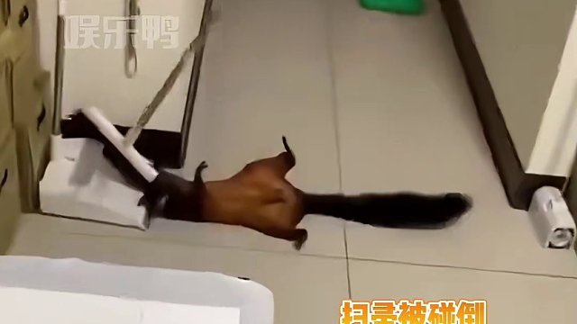 好好好，跟我玩伪装者那套是吧 #万万没想到 #搞笑 #戏精