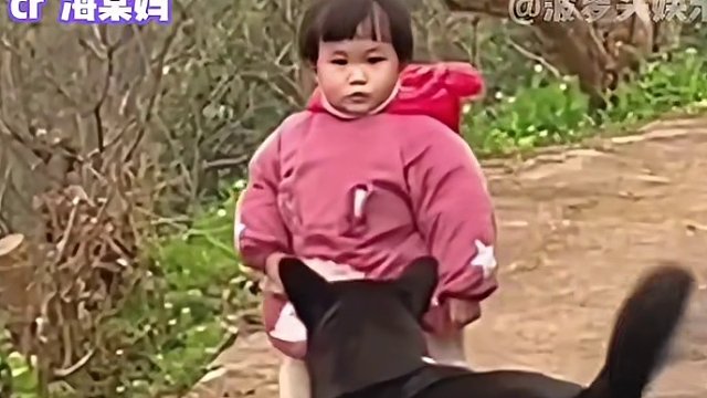 真的好可爱的两小只#娱乐评论大赏 #萌娃 #狗狗 #温暖 #治愈