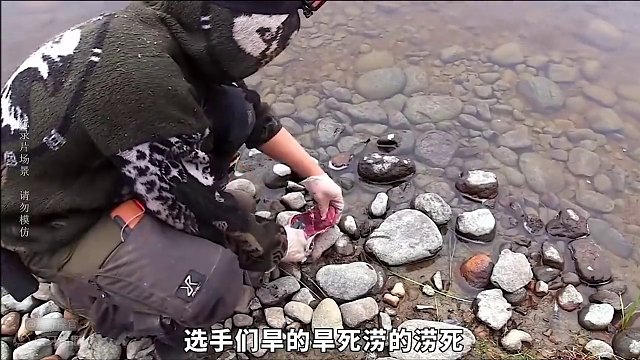 荒野独居第九季8~11 选手即使存积1个月的食物也会面临退赛的风险#荒野求生 #野外生存 #纪录片解