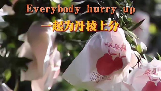 Everybody hurry up  一起为丹棱上分  欢迎投稿 469647477@qq.com