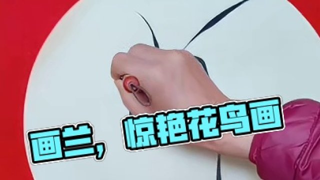 画兰演示