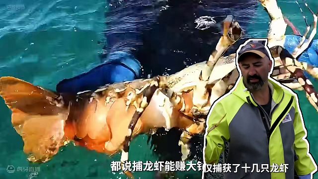 捕虾背后原来还有这么多的心酸#古巴龙虾 #捕捞 #制作过程 #龙虾 #年货跟我dou回家