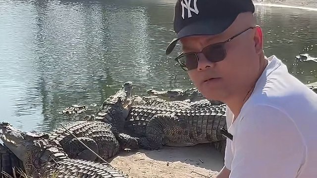 养鳄鱼当宠物很简单的，而且还听话，试世吧 #每日一拍 #宠物搞笑