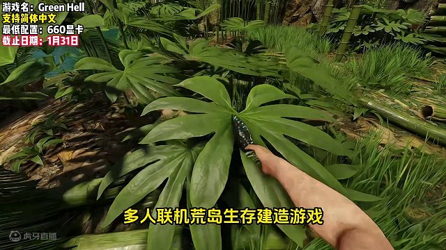 Steam又背刺了，两款特别好评且被打骨折的新史低游戏推荐 #STEAM游戏 #单机游戏 #游戏推荐