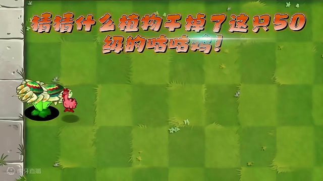 100株满级植物VS一只50级咕咕鸡，什么植物能吃鸡？ #植物大战僵尸 #植物大战僵尸 #pvz #